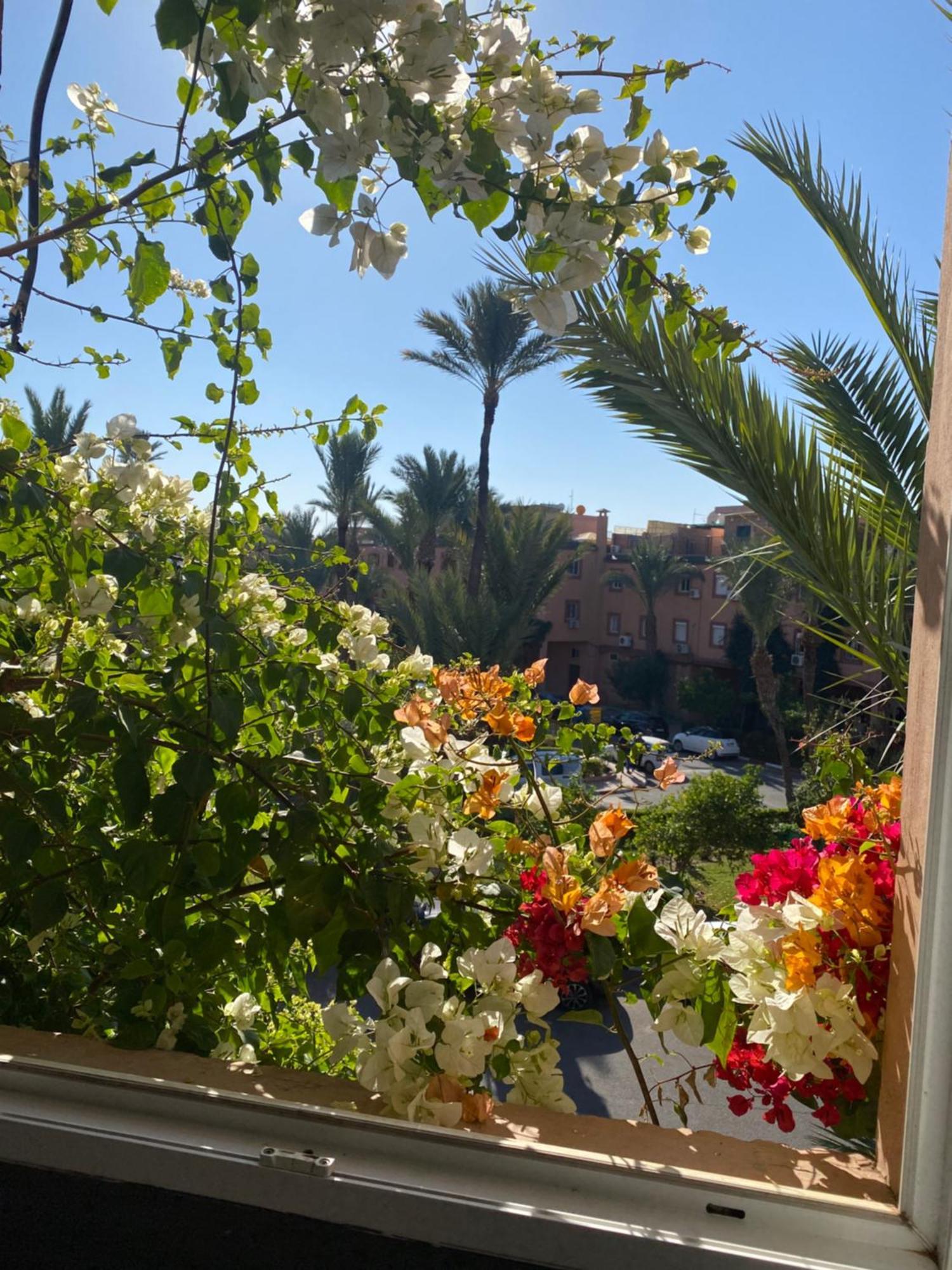 Appartement Palmier fleurit à Marrakesh Extérieur photo
